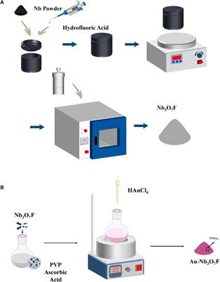 Preparation of novel Au-Nb3O7F nanosheets for the photodegradation of tetracycline hydrochloride